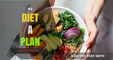 Dieting: A Plan or a Lifestyle Choice?