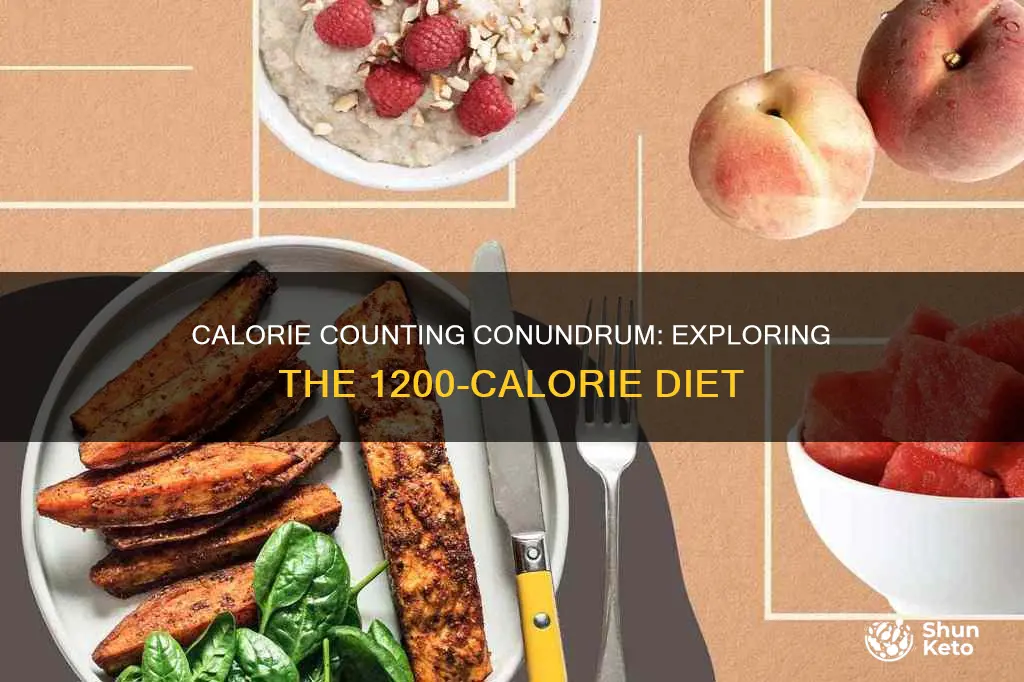 is a diet of 1200 calories unhealthy