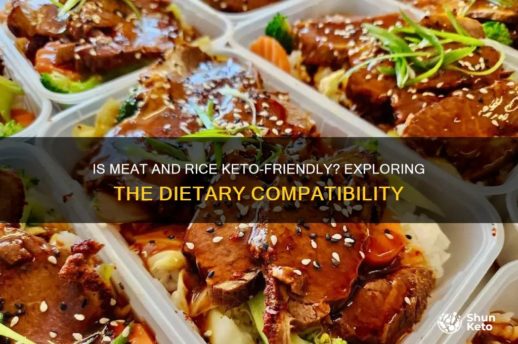 is a diet of meat and rice keto