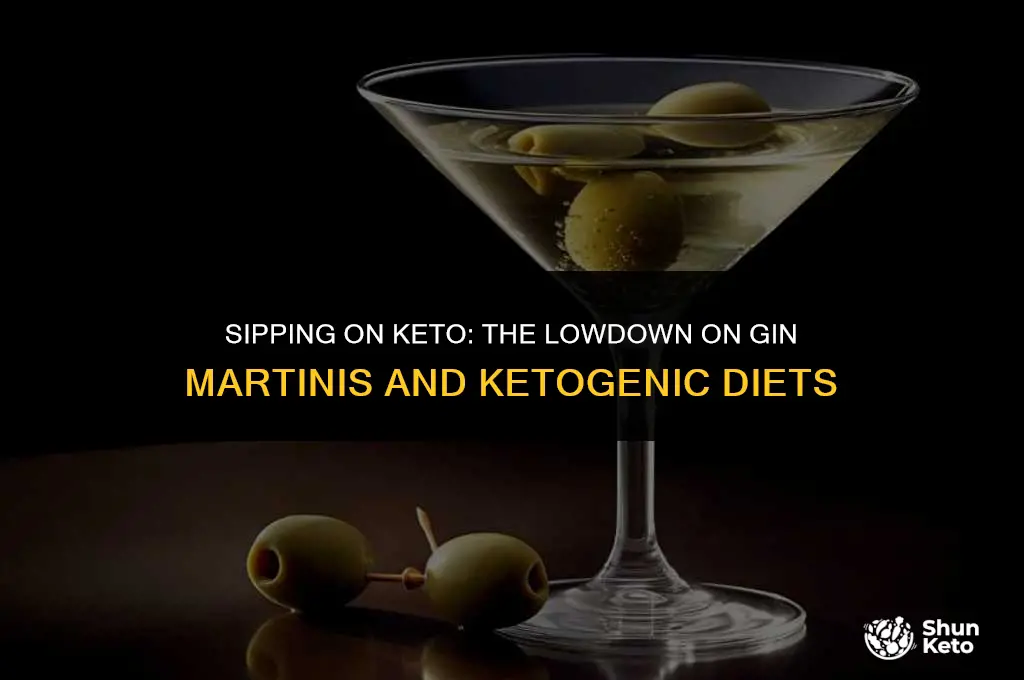 is a gin martini keto