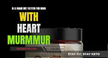 Grain Diets: A Dog's Heart Murmur Solution?
