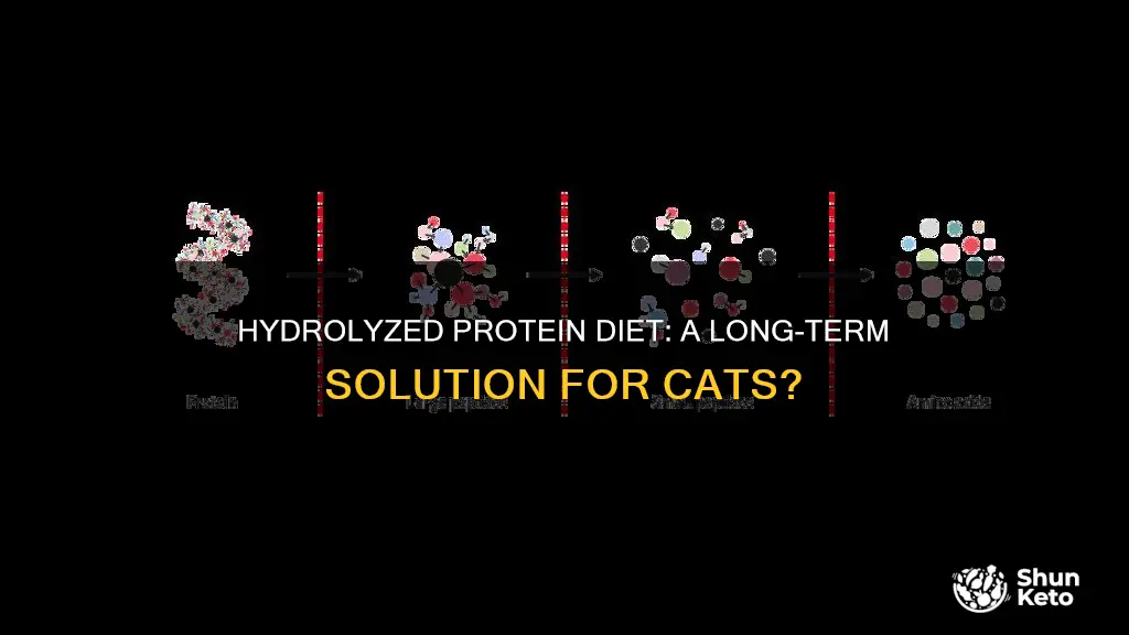 is a hydrolyzed protein diet for cats long term