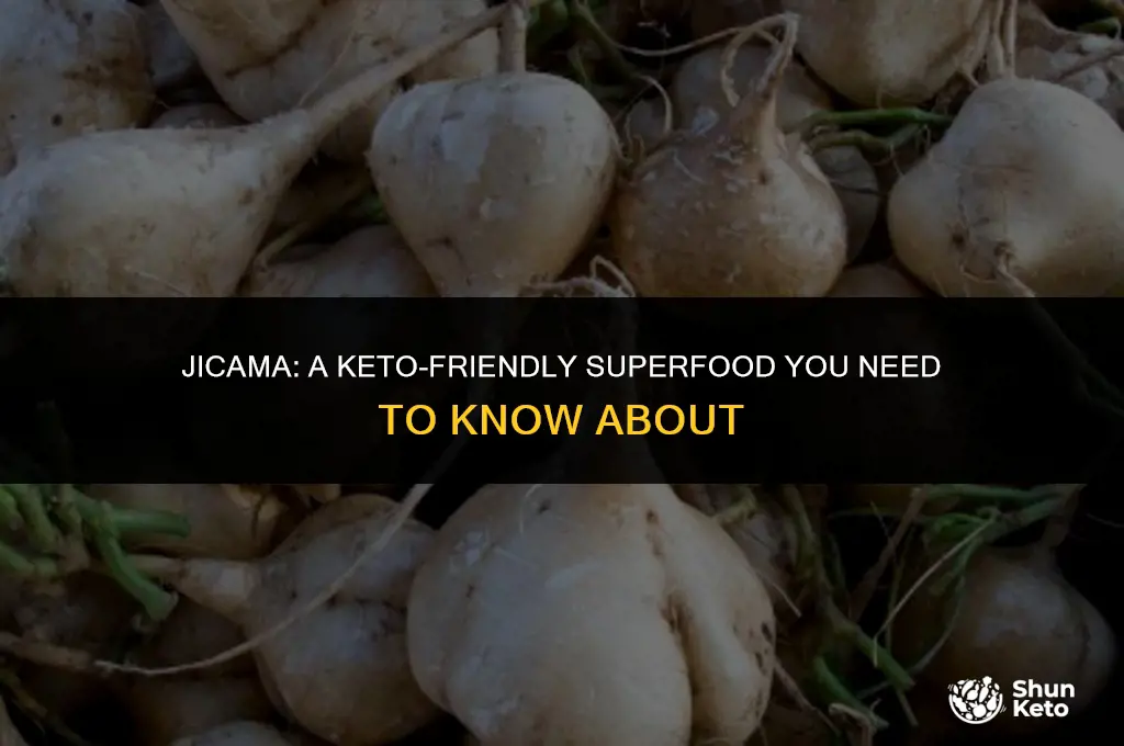 is a jicama keto