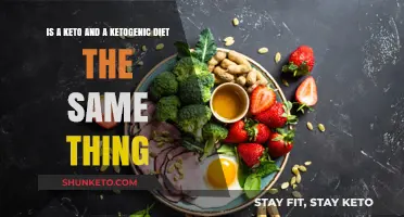 Keto vs. Ketogenic Diet: Understanding the Same Low-Carb Approach