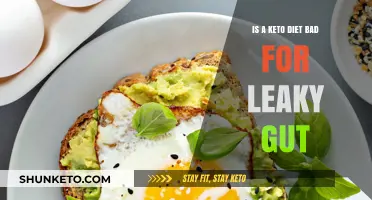 Keto Diet and Leaky Gut: Harmful or Healing Connection?