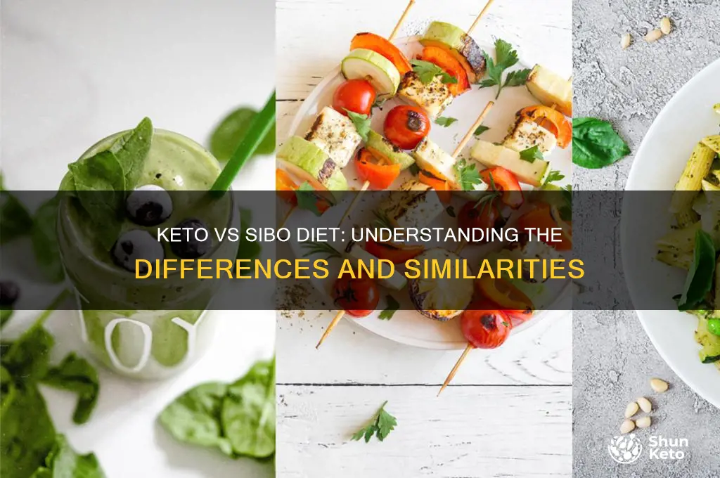 is a keto diet the same as sibo diet