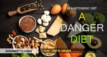 Ketogenic Diet: Is It Safe or Risky?
