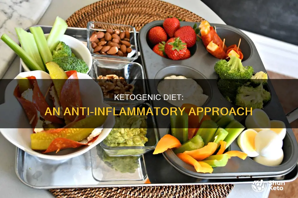 is a ketogenic diet anti inflamatory