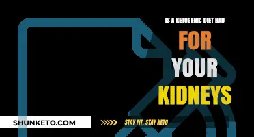 Ketogenic Diet and Kidney Health: Debunking Myths and Facts