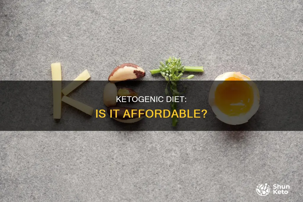 is a ketogenic diet expensive