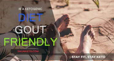Ketogenic Diet: Friend or Foe for Gout Sufferers?