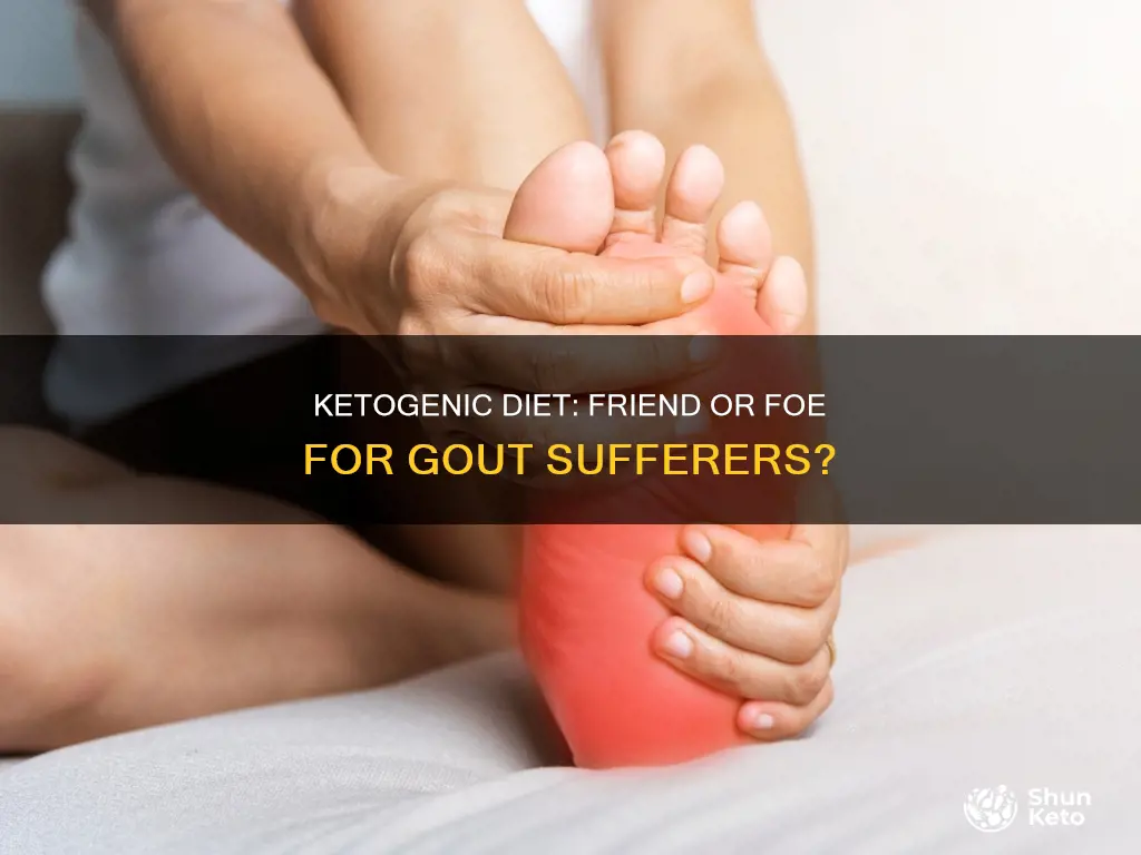 is a ketogenic diet gout friendly