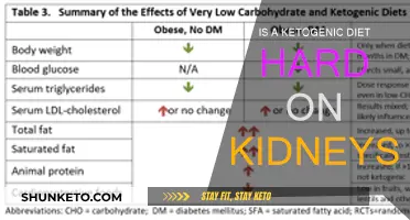 Ketogenic Diet: Kidney Friend or Foe?