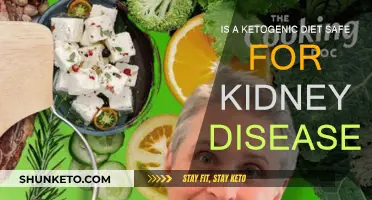 Ketogenic Diet: Friend or Foe for Kidney Disease?