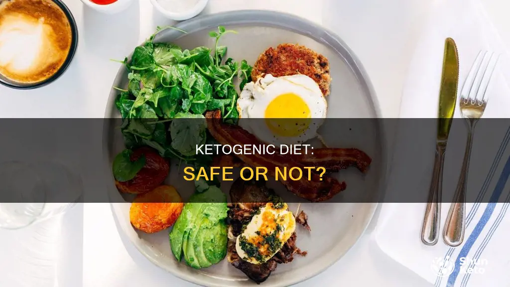 is a ketogenic diet sfey