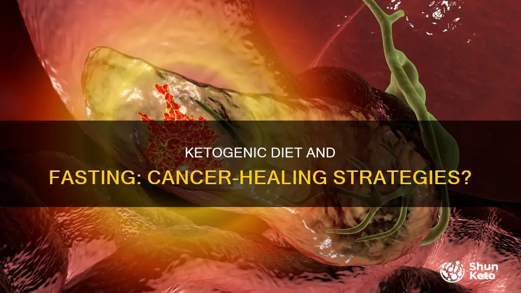 is a ketogenic diet sililar to fasting for healing cancer