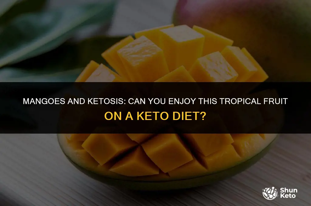 is a mango keto