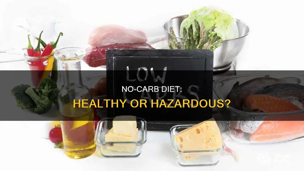 is a no carb diet health