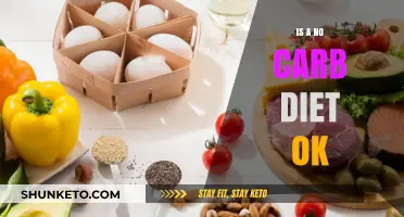 No-Carb Diet: Healthy or Harmful?