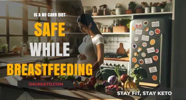 Breastfeeding and No-Carb Diets: Safe or Not?