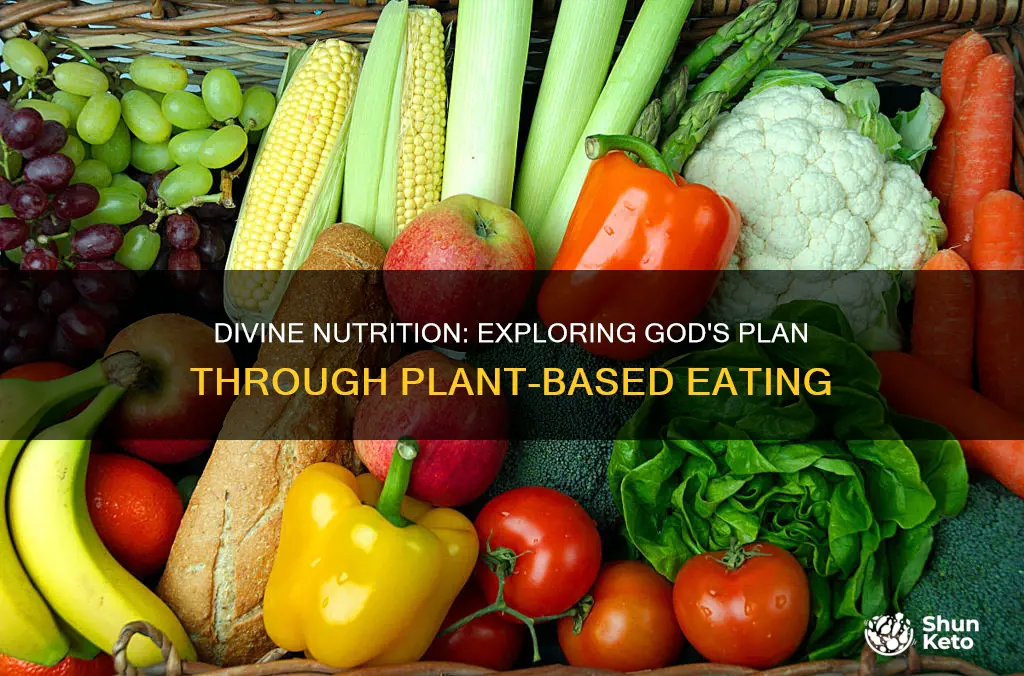 is a plant based diet based on god