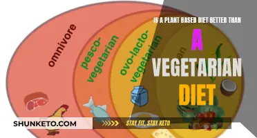 Plant-Based Diets: Superior to Vegetarianism?