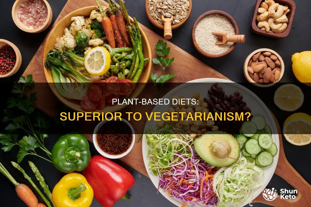 is a plant based diet better than a vegetarian diet