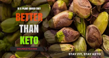 Plant-Based vs. Keto: Which Diet Boosts Health and Sustainability?