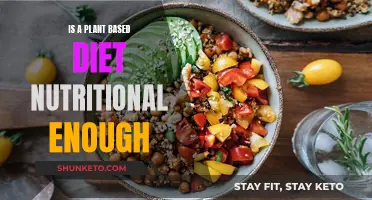 Plant-Based Diets: Nutritional Powerhouses or Deficient?