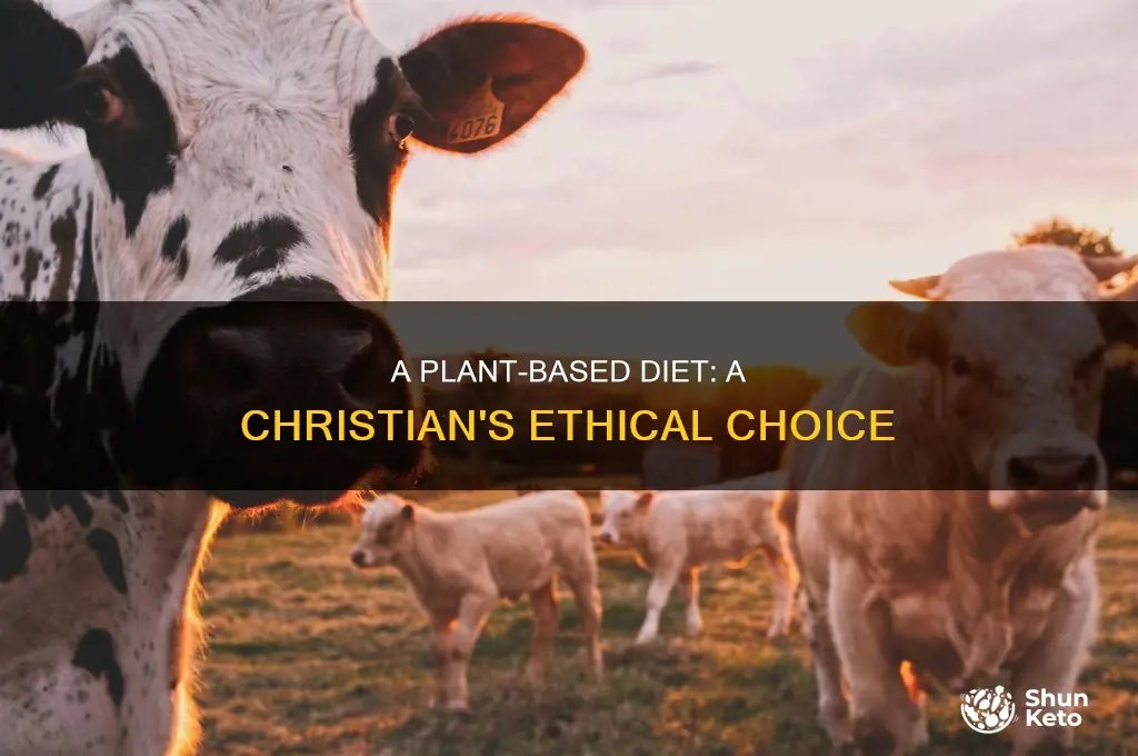 is a plant based diet ok for a christian