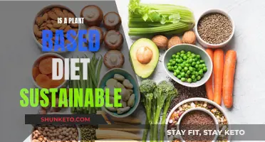 Plant-Based Diets: Sustainable, Healthy, and Nutritious?