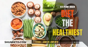 Plant-Based Diets: Healthy or Just Hype?