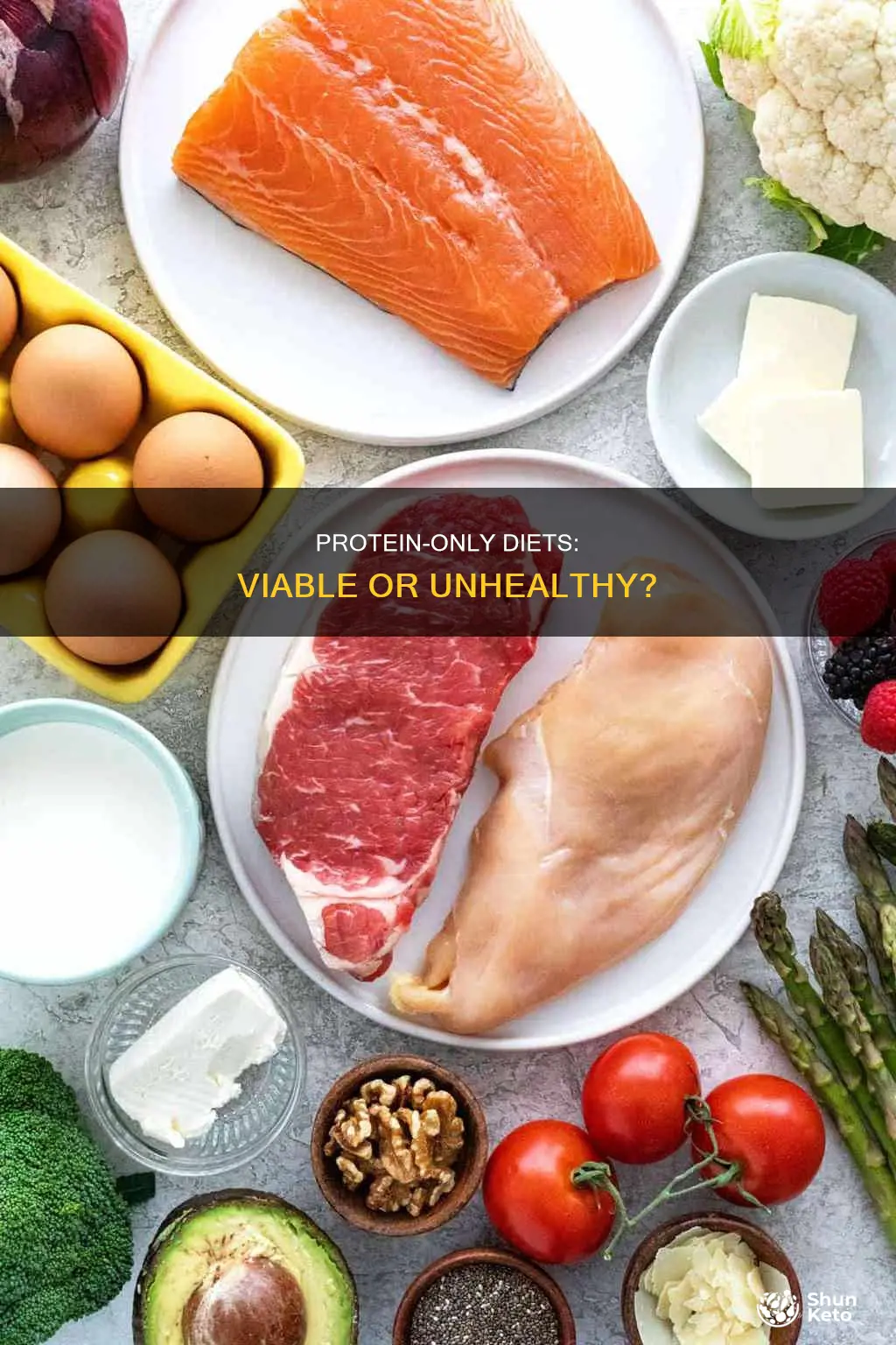 is a protein only diet viable