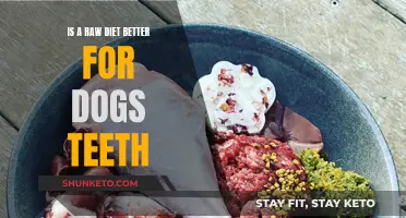 Raw Diets: Better Dental Health for Dogs?