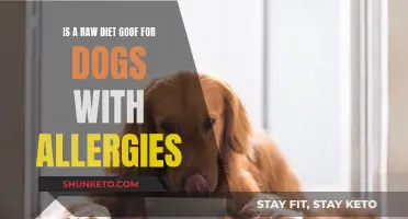 Raw Diet: A Solution for Dogs with Allergies?