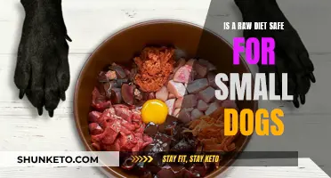 Raw Diet for Small Dogs: Safe or Not?