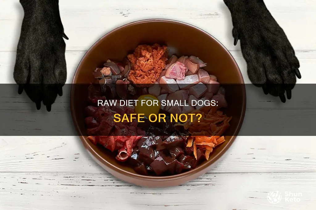 is a raw diet safe for small dogs