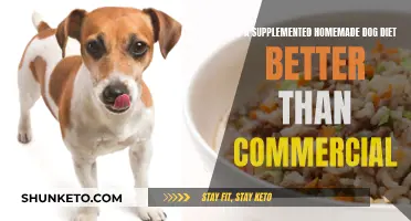 Homemade Dog Diet: Better Than Commercial Food?