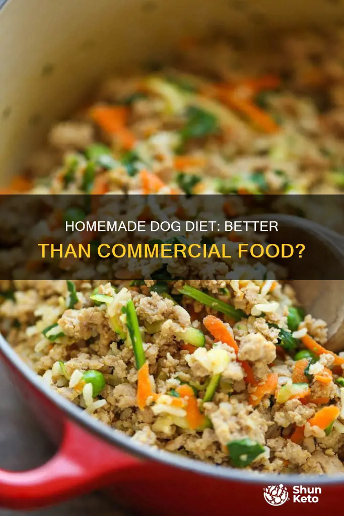 is a supplemented homemade dog diet better than commercial