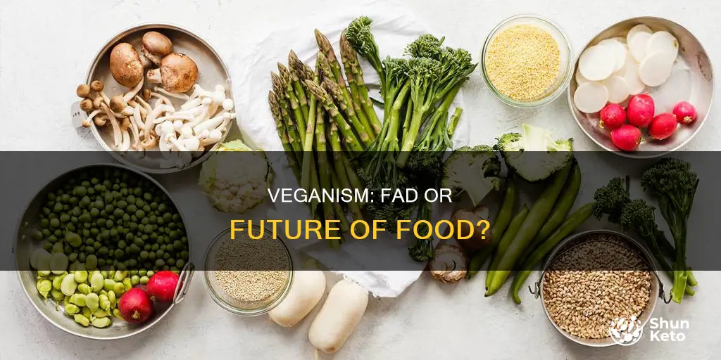 is a vegan diet a fad diet