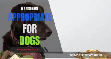 Vegan Diet for Dogs: Healthy or Harmful?