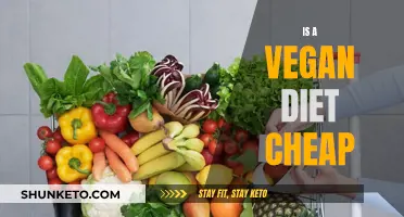 Vegan Diets: Cost-Effective or Costly?