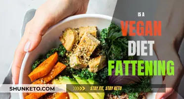 Vegan Diets: Healthy or a Highway to Obesity?