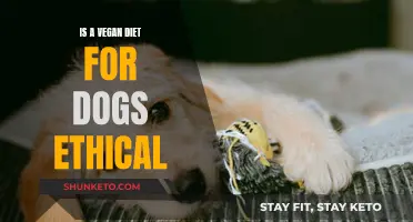 Vegan Dog Diet: Ethical or Unnatural?