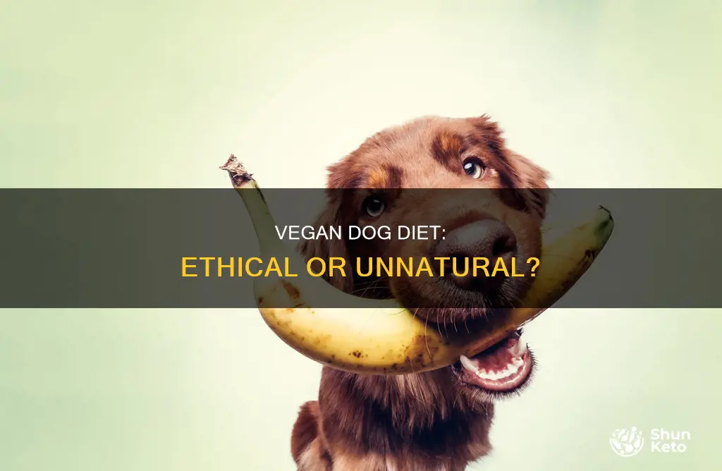 is a vegan diet for dogs ethical