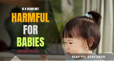 Vegan Diets for Babies: Harmful or Healthy?