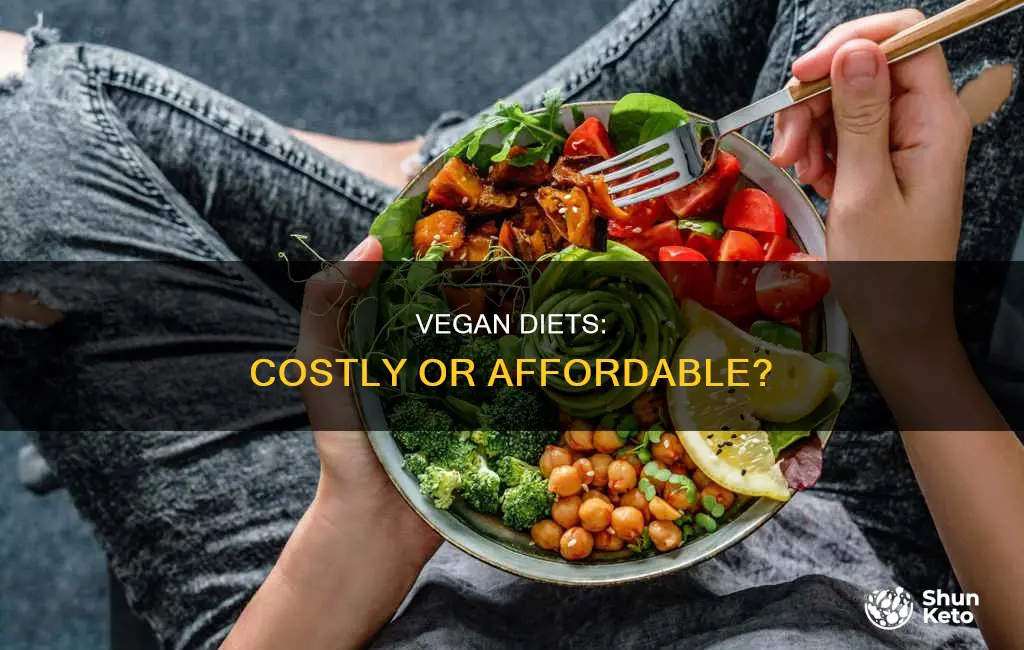 is a vegan diet more expensive