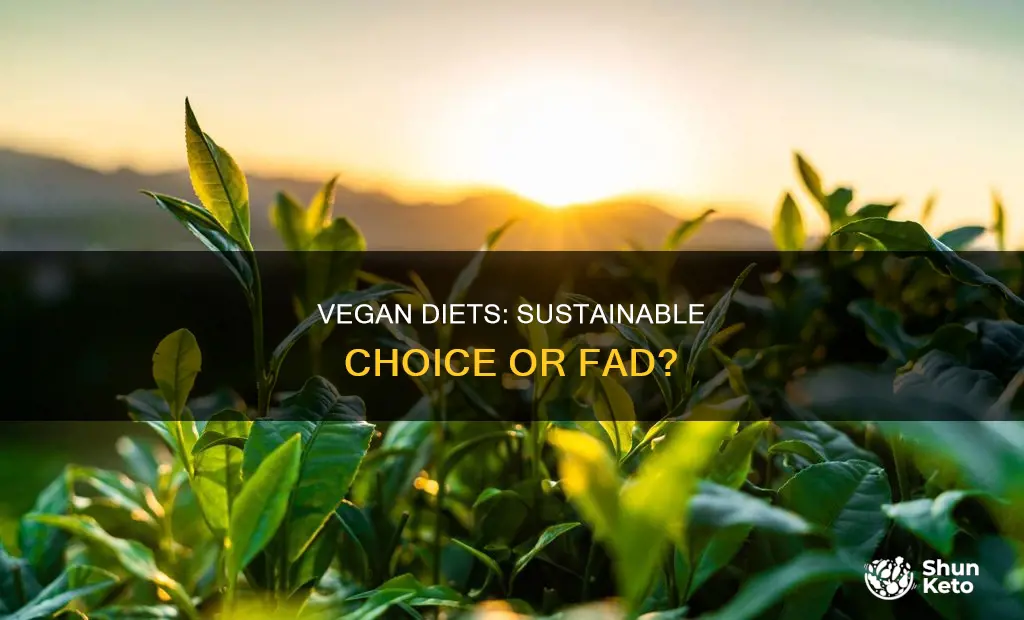 is a vegan diet more sustainable