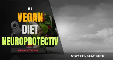 Vegan Diets: Neuroprotective Benefits and Brain Health