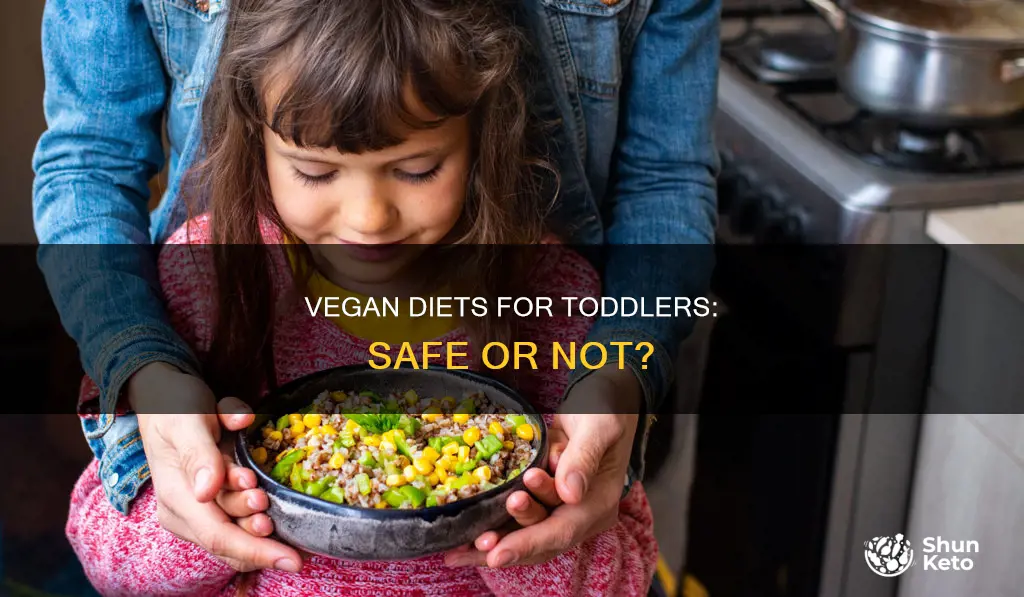 is a vegan diet safe for toddlers